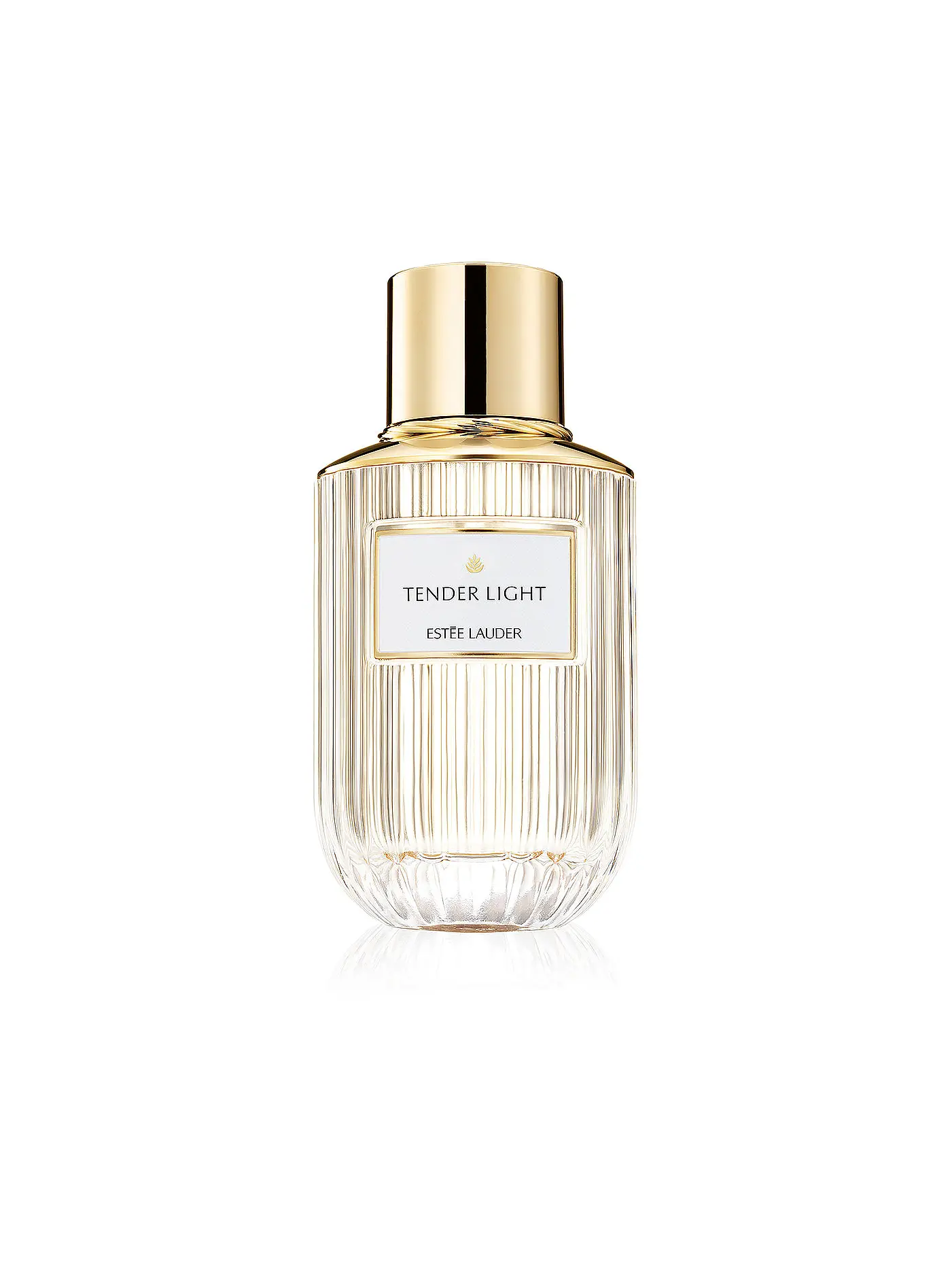 ESTÉE LAUDER | Tender Light Eau de Parfum Spray 40ml | keine Farbe